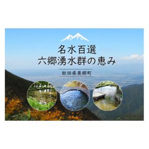 ふるさと納税 炭酸飲料 サイダー 秋田県 美郷...の詳細画像2