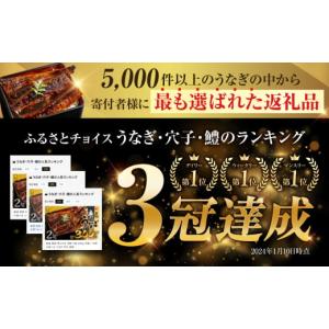 ふるさと納税 うなぎ 愛知県 田原市 冷蔵 厳...の詳細画像2