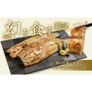 ふるさと納税 うなぎ 愛知県 田原市 冷蔵 厳...の詳細画像3