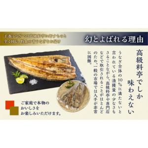 ふるさと納税 うなぎ 愛知県 田原市 冷蔵 厳...の詳細画像5