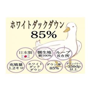 ふるさと納税 タオル・寝具 掛け布団 石川県 ...の詳細画像4