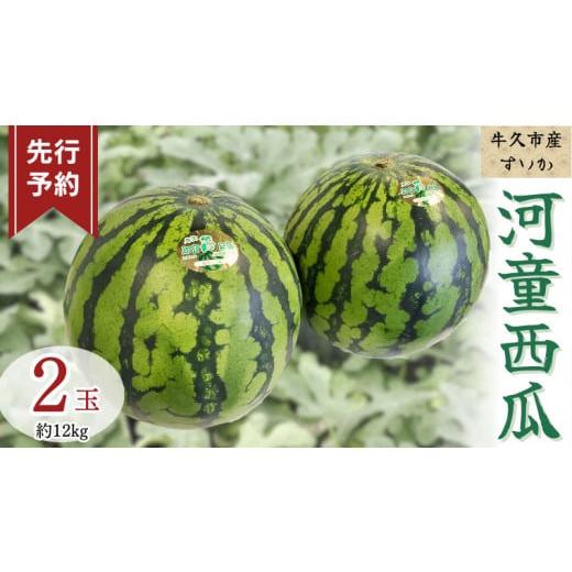 ふるさと納税 茨城県 牛久市 《 先行予約 》 牛久市産 河童 西瓜 L 2玉 （約 12kg ）【...