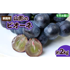 ふるさと納税 果物類 ぶどう 山形県 山形市 ...の詳細画像1