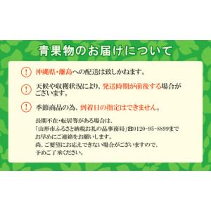 ふるさと納税 果物類 ぶどう 山形県 山形市 ...の詳細画像5