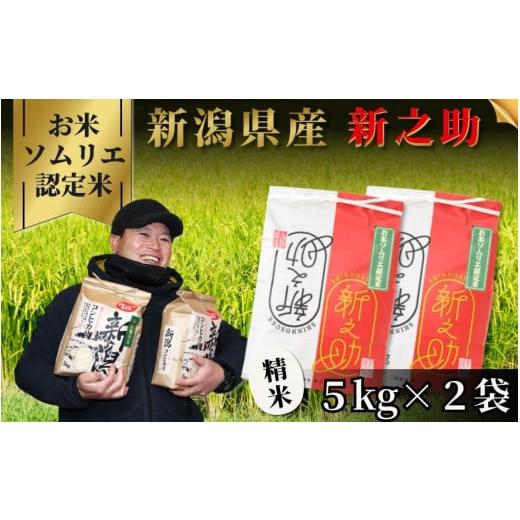 ふるさと納税 米 新潟県 五泉市 令和7年産 新米 米 10kg ( 5kg × 2袋 ) 五泉市産...