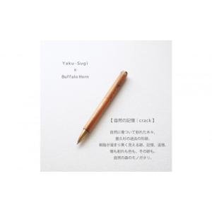 ふるさと納税 文房具・玩具 ボールペン 鹿児島...の詳細画像2