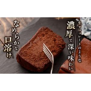 ふるさと納税 ケーキ・カステラ ガトーショコラ...の詳細画像4