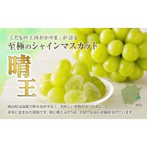 ふるさと納税 ぶどう マスカット 岡山県 備前...の詳細画像2