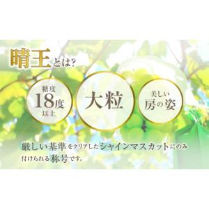 ふるさと納税 ぶどう マスカット 岡山県 備前...の詳細画像3