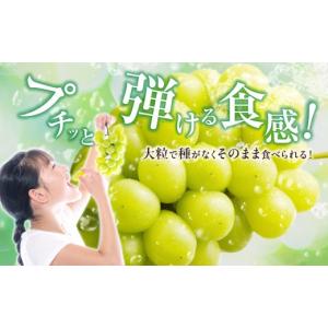 ふるさと納税 ぶどう マスカット 岡山県 備前...の詳細画像4