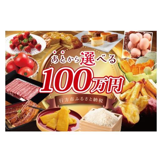 ふるさと納税 カタログ 茨城県 行方市  あとから選べる 茨城県行方市ふるさとギフト 寄附額：100...