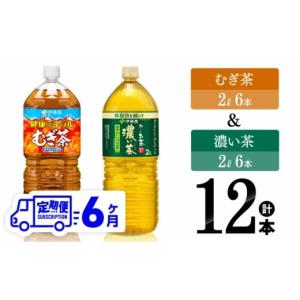ふるさと納税 お茶類 緑茶（飲料） 宮崎県 川南町 6ヶ月定期便 伊藤園 健康ミネラルむぎ茶2L(6本)＋お〜いお茶濃い茶2L(6本) 飲料類 麦茶 緑茶 PET セット 詰…