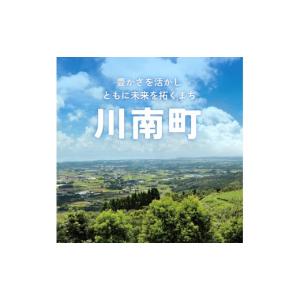 ふるさと納税 お茶類 緑茶(飲料) 宮崎県 川...の詳細画像2