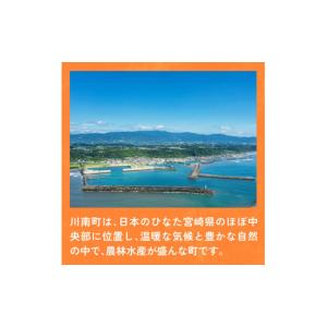 ふるさと納税 お茶類 緑茶(飲料) 宮崎県 川...の詳細画像3