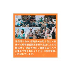 ふるさと納税 お茶類 緑茶(飲料) 宮崎県 川...の詳細画像4