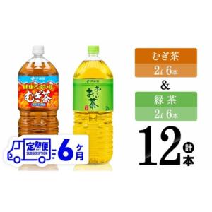 ふるさと納税 お茶類 緑茶（飲料） 宮崎県 川南町 6ヶ月定期便 伊藤園 健康ミネラルむぎ茶2L(6本)＋おーいお茶緑茶2L(6本) 飲料類 お茶 麦茶 緑茶 PET セット…