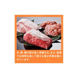 ふるさと納税 お茶類 緑茶(飲料) 宮崎県 川...の詳細画像5