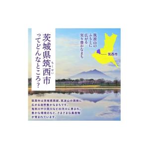 ふるさと納税 花・苗木 花束 茨城県 筑西市 ...の詳細画像2