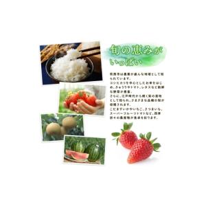 ふるさと納税 花・苗木 花束 茨城県 筑西市 ...の詳細画像4