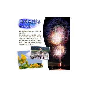 ふるさと納税 花・苗木 花束 茨城県 筑西市 ...の詳細画像5