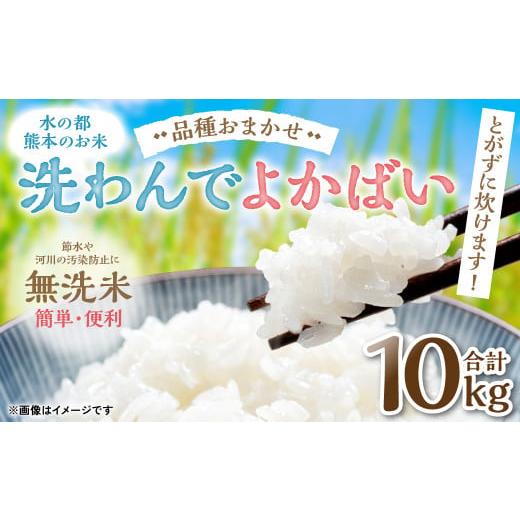 ふるさと納税 熊本県 八代市 【令和5年産】 水の都熊本のお米 とがずに炊けます! 簡単・便利 無洗...