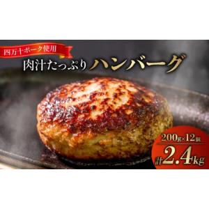 ふるさと納税 肉 ハンバーグ 高知県 須崎市 ハンバーグ 四万十ポーク 入り 2.4kg ( 200g × 12個 ) 冷凍 真空 小分け 個包装 肉汁 たっぷり 大容量 大きめ 合…