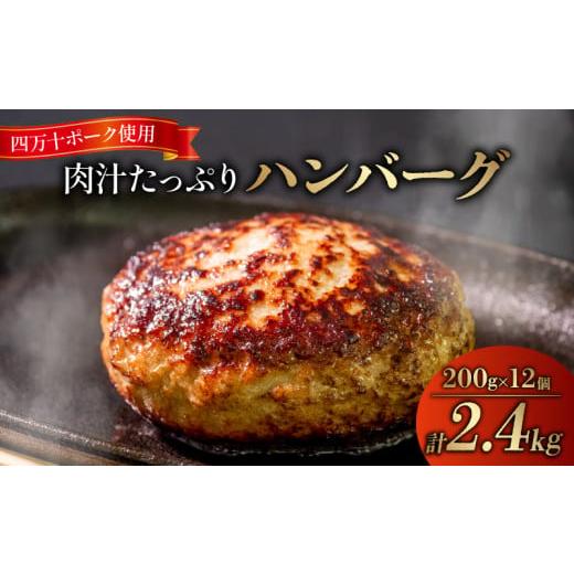 ふるさと納税 高知県 須崎市 ハンバーグ 四万十ポーク 入り 2.4kg ( 200g × 12個 ...