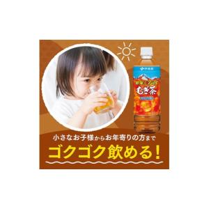ふるさと納税 お茶類 宮崎県 川南町 6ヶ月定...の詳細画像3