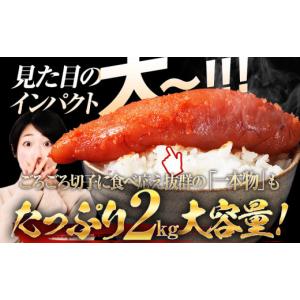 ふるさと納税 魚貝類 明太子 福岡県 志免町 ...の詳細画像3