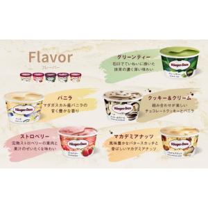 ふるさと納税 菓子 アイス 北海道 浜中町 全...の詳細画像2