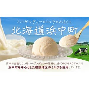 ふるさと納税 菓子 アイス 北海道 浜中町 全...の詳細画像5