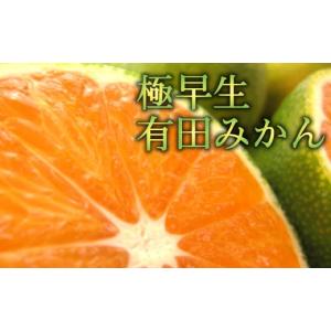 ふるさと納税 和歌山県 紀美野町 【初秋の美味】厳選!濃厚極早生有田みかん　約8kg【2024年10月頃から順次発送予定】※北海道・沖縄・離島配送不可 ／ 和歌山 …