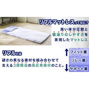 ふるさと納税 タオル・寝具 敷布団 福井県 敦...の詳細画像2