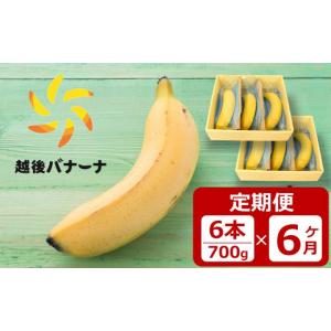 ふるさと納税 果物類 新潟県 柏崎市 定期便・...の詳細画像1