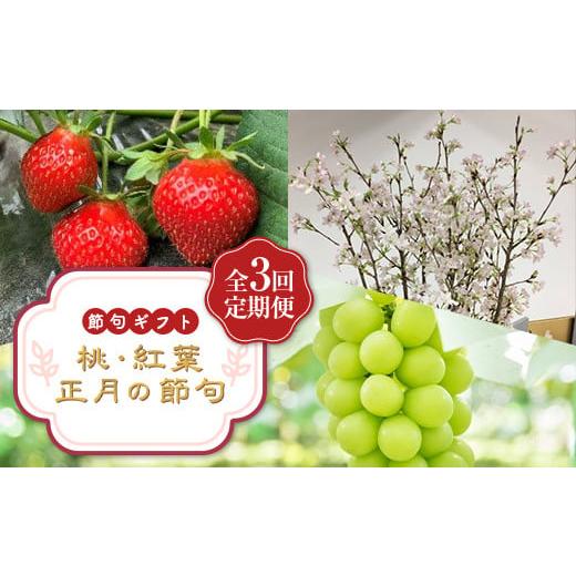 ふるさと納税 ぶどう マスカット 山形県 - 節句ギフト 『桃・紅葉・正月の節句』 定期便3回 FS...