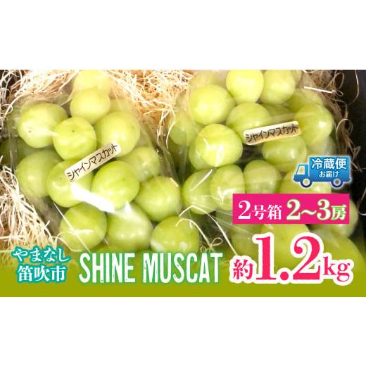 ふるさと納税 ぶどう マスカット 山梨県 笛吹市  2026年発送 先行予約 シャインマスカット2号...