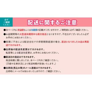 ふるさと納税 ぶどう マスカット 山梨県 笛吹...の詳細画像4