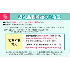 ふるさと納税 ぶどう マスカット 山梨県 笛吹...の詳細画像5