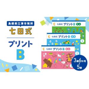 ふるさと納税 島根県 江津市 江津市限定返礼品：七田式プリントB＋マッサージオイルセット