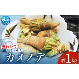 Surstrommings シュールストレミング（特製缶バッジ付き） : SANKO