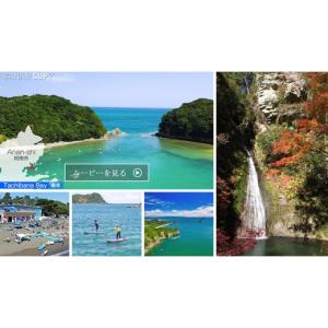 ふるさと納税 雑貨・日用品 徳島県 阿南市 ネ...の詳細画像5