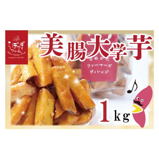 ふるさと納税 茨城県 行方市 CQ-19　らぽっぽファーム【工場直送】美腸大学いも1kg