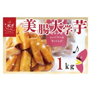 ふるさと納税 野菜類 サツマイモ 茨城県 行方...の詳細画像1