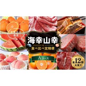 ふるさと納税 果物類 みかん 和歌山県 かつらぎ町 魚鶴商店厳選 人気の海幸山幸食べ比べ 定期便全12回 セットA UT109