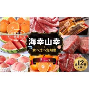ふるさと納税 果物類 みかん 和歌山県 かつら...の詳細画像1