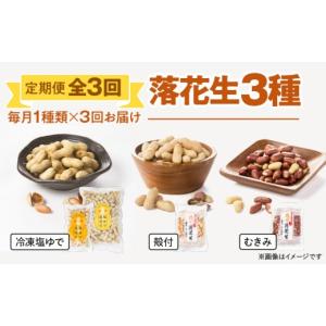 ふるさと納税 豆類 落花生 鹿児島県 鹿屋市 2194 全3回定期便 落花生3種（冷凍塩ゆで・殻付・むきみ）　KN012-T02