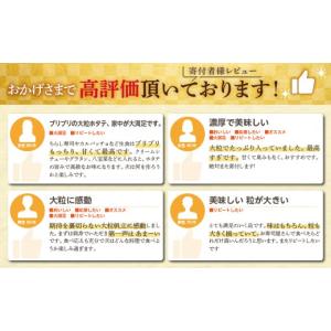 ふるさと納税 魚貝類 ホタテ 北海道 長万部町...の詳細画像5