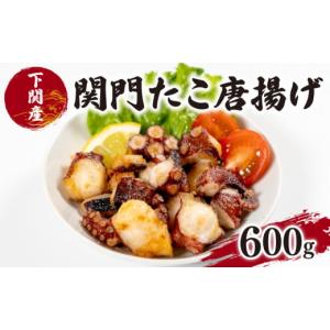 ふるさと納税 山口県 下関市 たこ 唐揚げ 600g 冷凍 小...