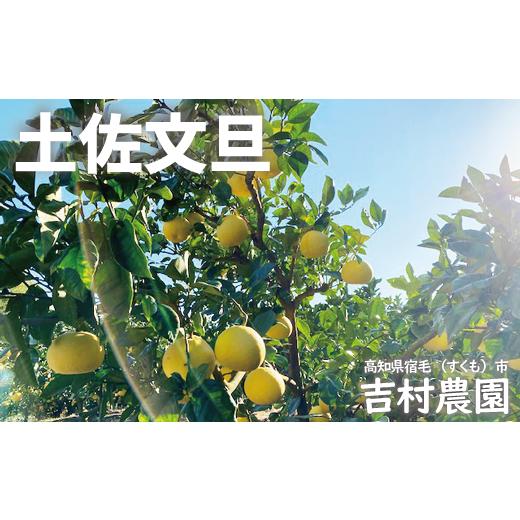 ふるさと納税 みかん・柑橘類 高知県 宿毛市 吉村農園の土佐文旦3kg(家庭用)