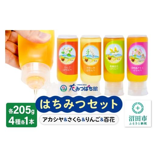 ふるさと納税 群馬県 沼田市 アカシヤ・沼田城さくら・りんご・尾瀬のはちみつ（百花）セット 各205...